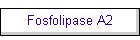Fosfolipase A2