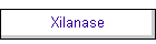 Xilanase