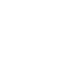 logo website