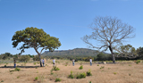 De cara para o Morro do Cambambe, Chapada dos Guimares-MT (junho/2011)