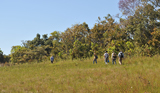 Trilha no Morro do Cambambe, Chapada dos Guimares-MT (junho/2011)