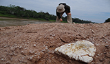 Annie and the <i>Purusaurus</i> osteoderm, Acre (agosto/2013)